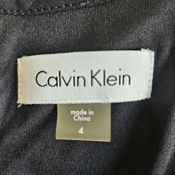 Calvin Klein Embroidered Floral Chiffon A-Line Mini Dress Women's 4 Black Sheer
